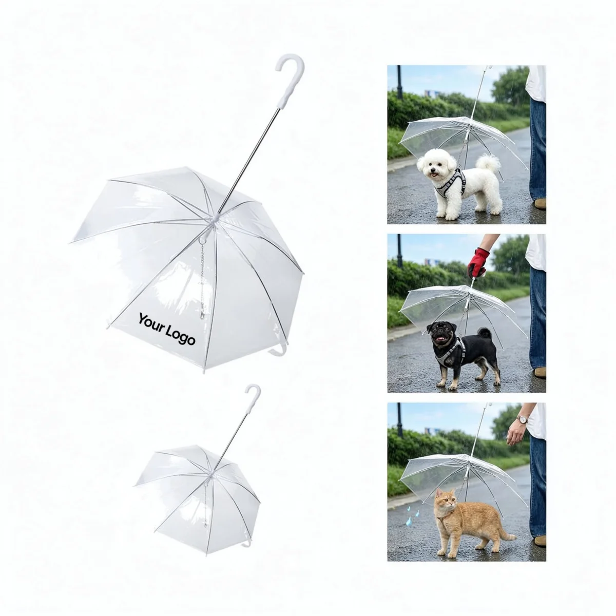 Alternate product view