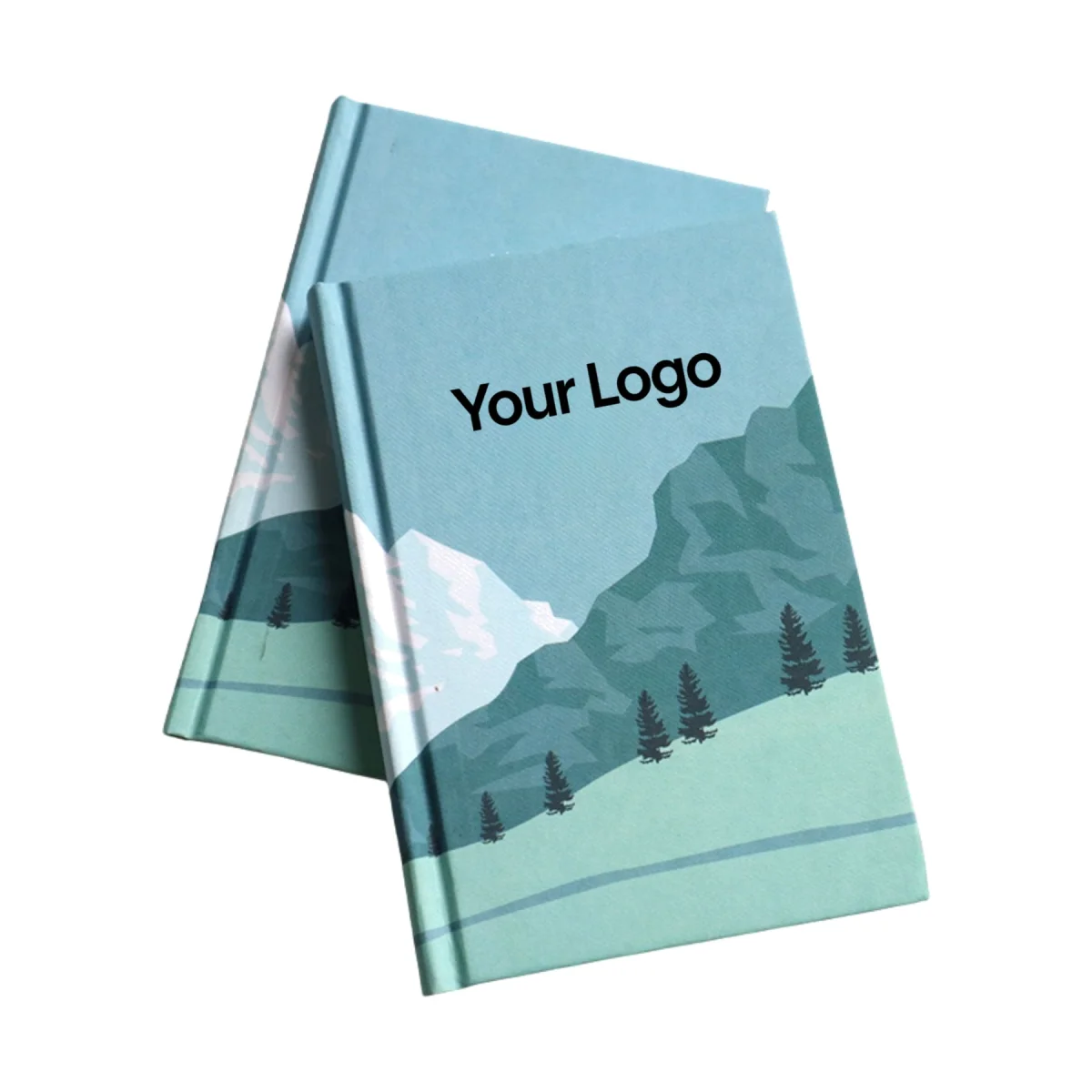 Alternate product view