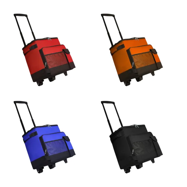 Backpack-Converts Wheeled Telescoping Handle Rolling Cooler Bag