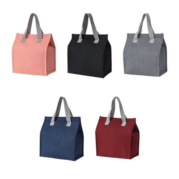 Divided-Interior Organized Insulated Lunch Satchel Bag