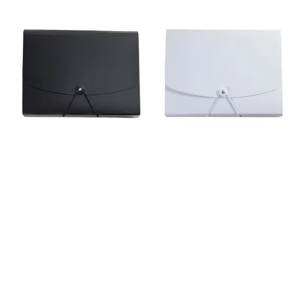 Roomy Accordion File Folder